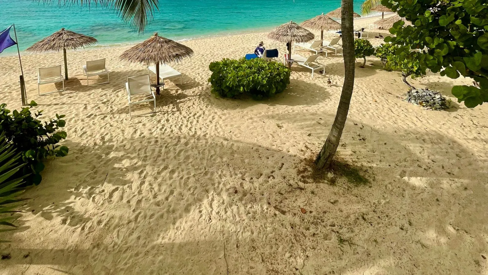 Azamara Journey · Caraibe · 7 nopți