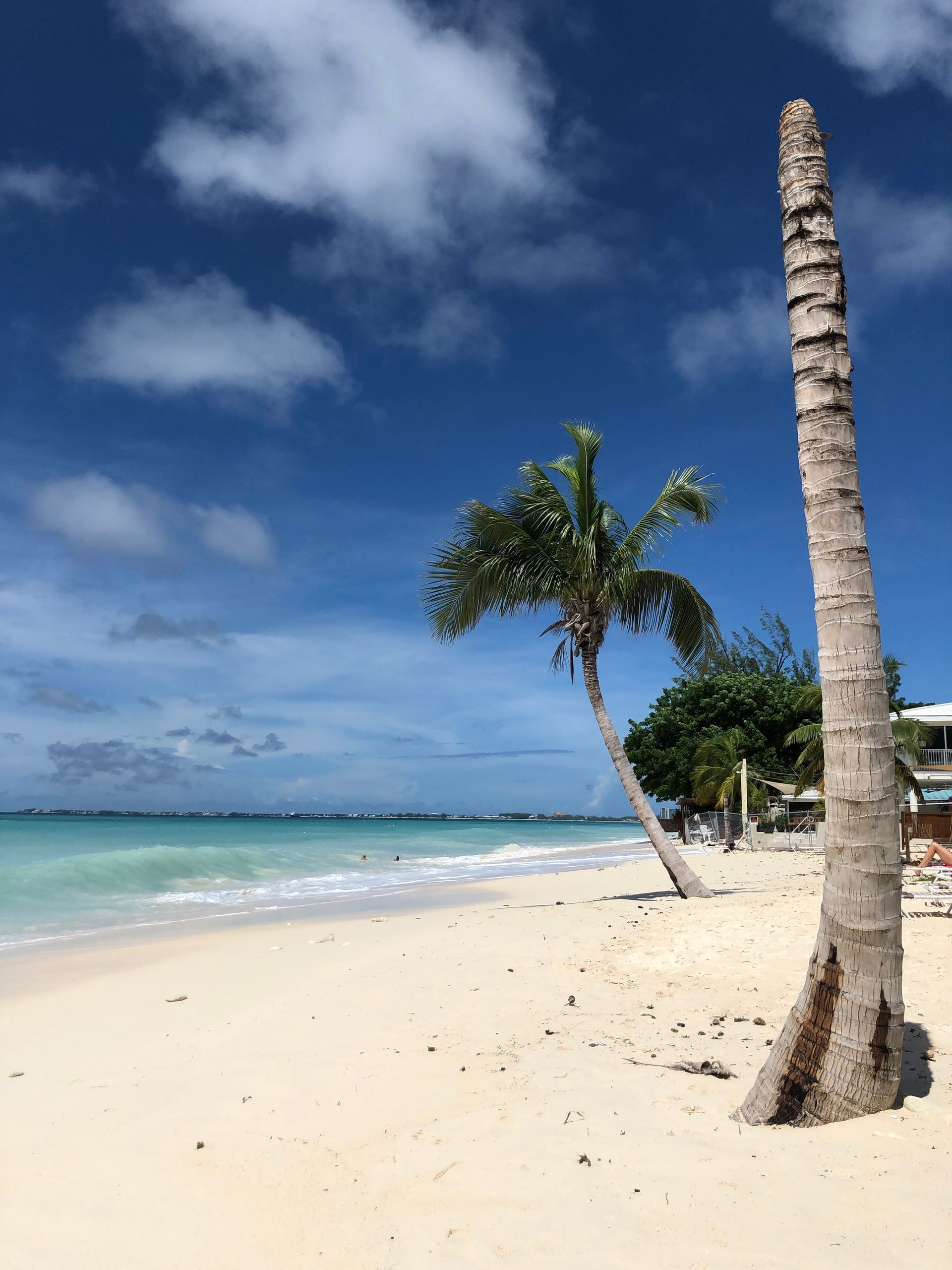 Croazieră în Galapagos