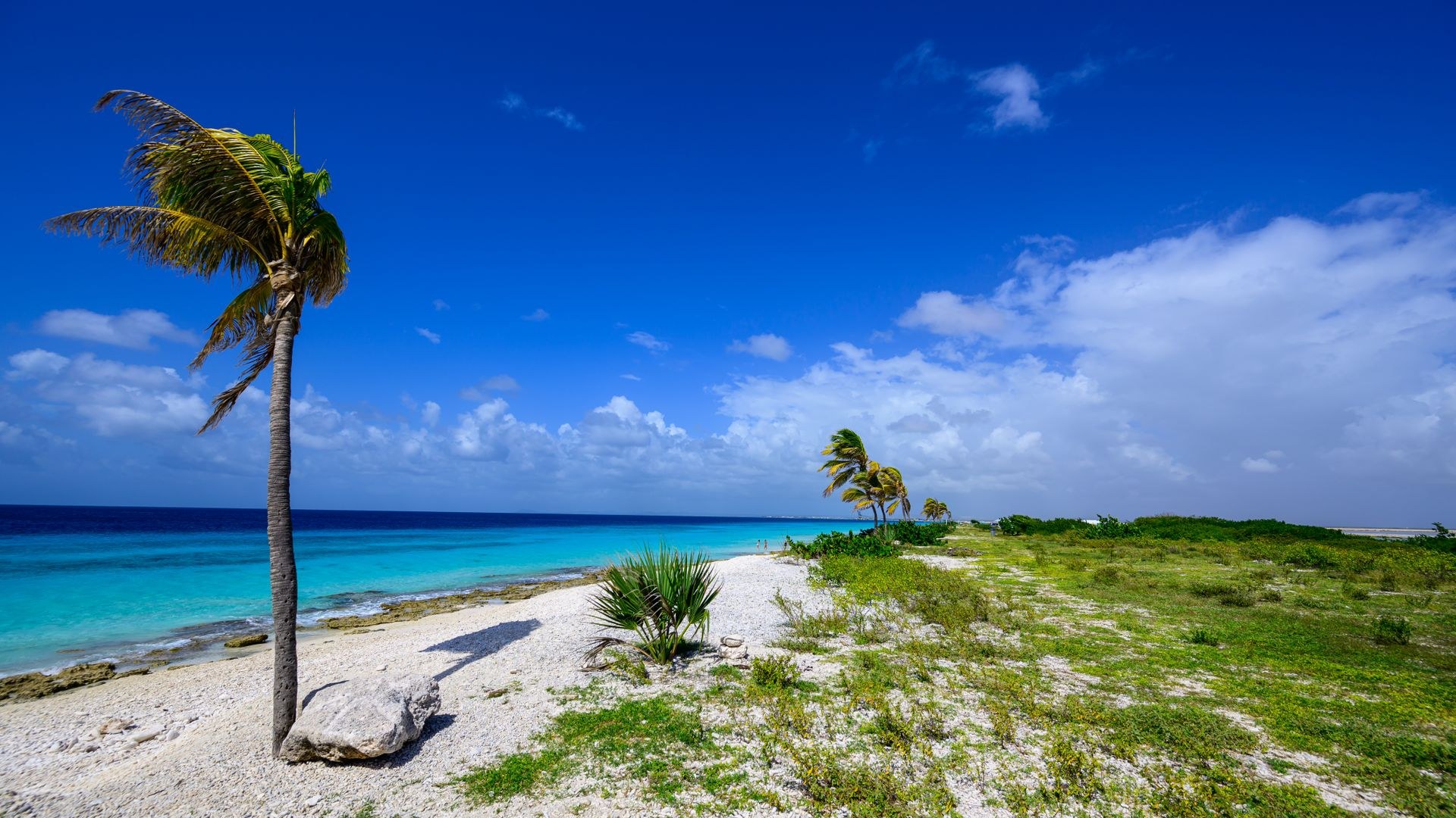 Croazieră în Canada si Hawaii