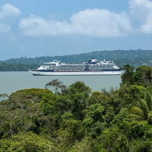 Celebrity Infinity
