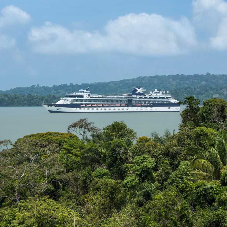 Celebrity Infinity