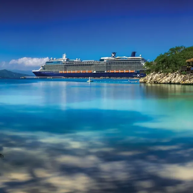 Celebrity Silhouette